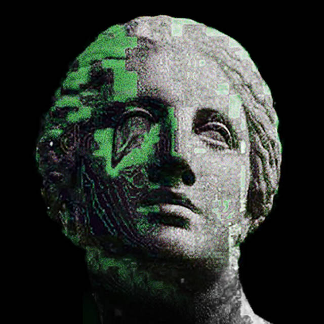 ALBUM Disorder 5'8 非対称 レギュラーフッター用 アルバム Disorder