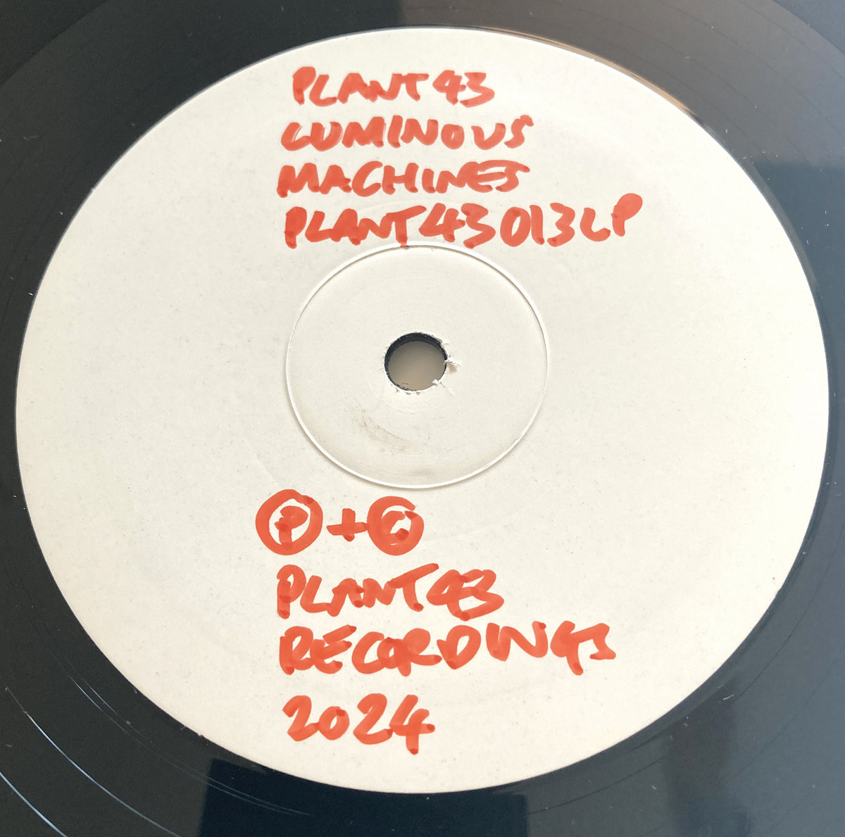 Luminous Machines | Plant43