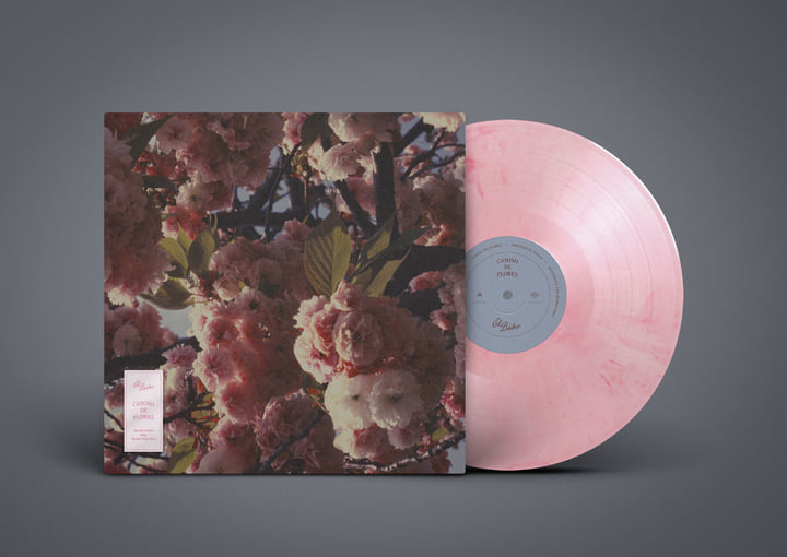 Camino de Flores | El Búho