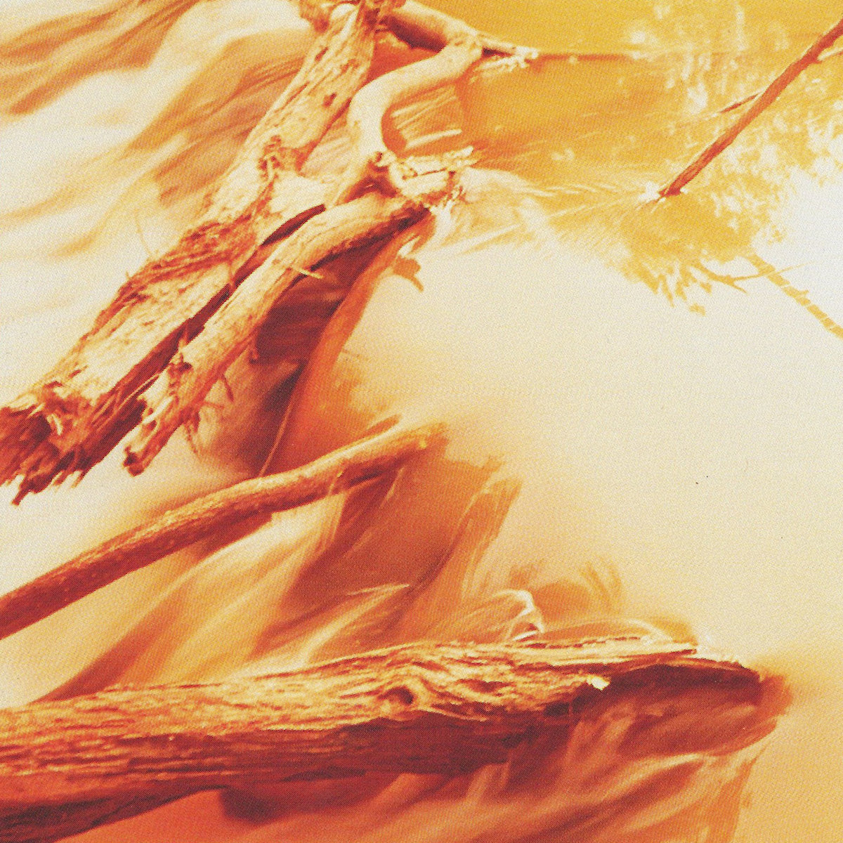 Depths | Windy & Carl