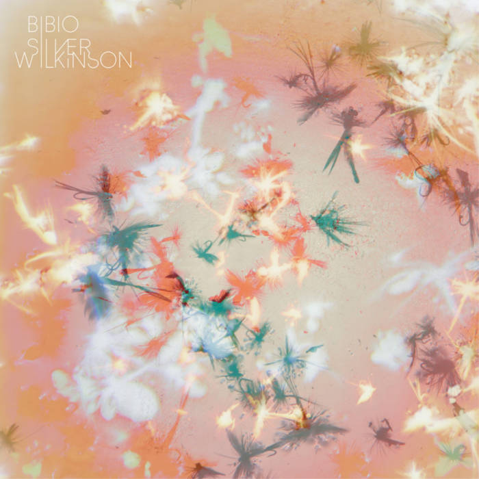 Silver Wilkinson | Bibio