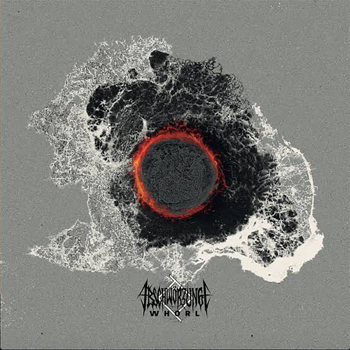 L'Alliance des Venins | DARVULIA | ARS LONGA VITA BREVIS