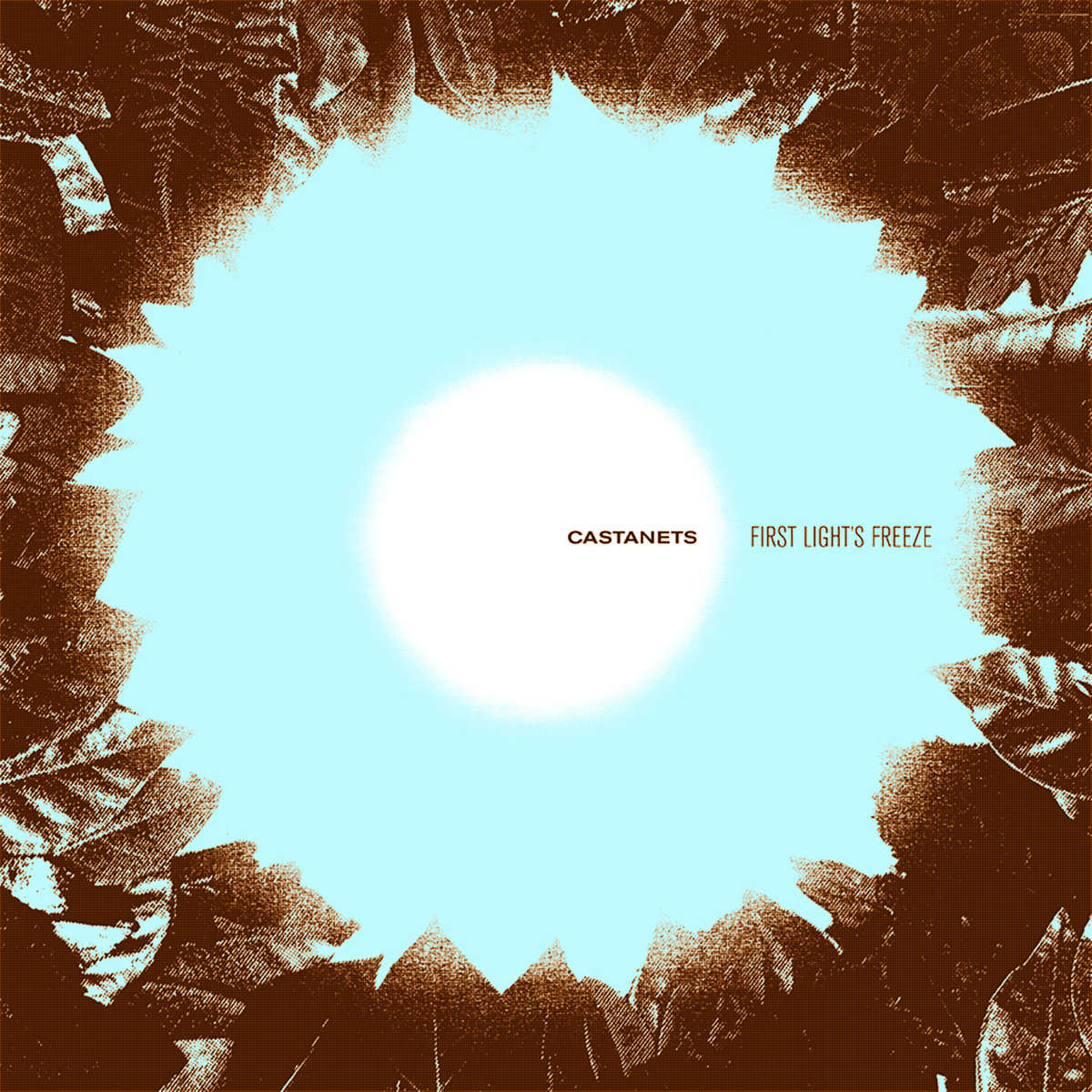 First Light's Freeze | Castanets