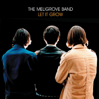 Let it Grow | The Meligrove Band