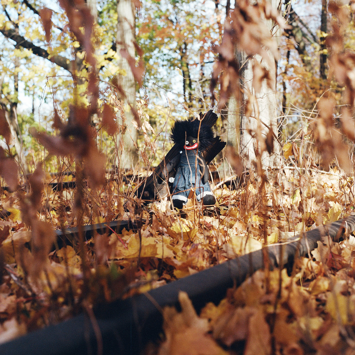 GOLLIWOG | billy woods