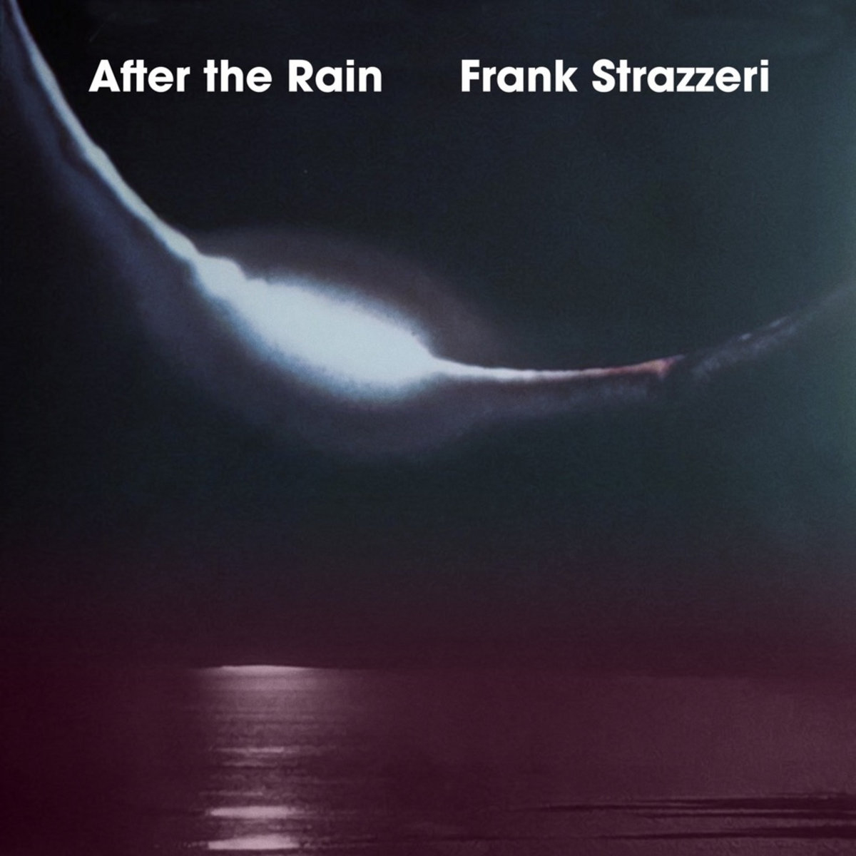 After the Rain | Frank Strazzeri
