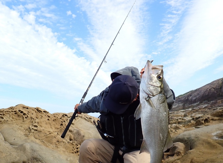 再販】UC11ft2S（ダブルエス）（Second Edition）（スピニング