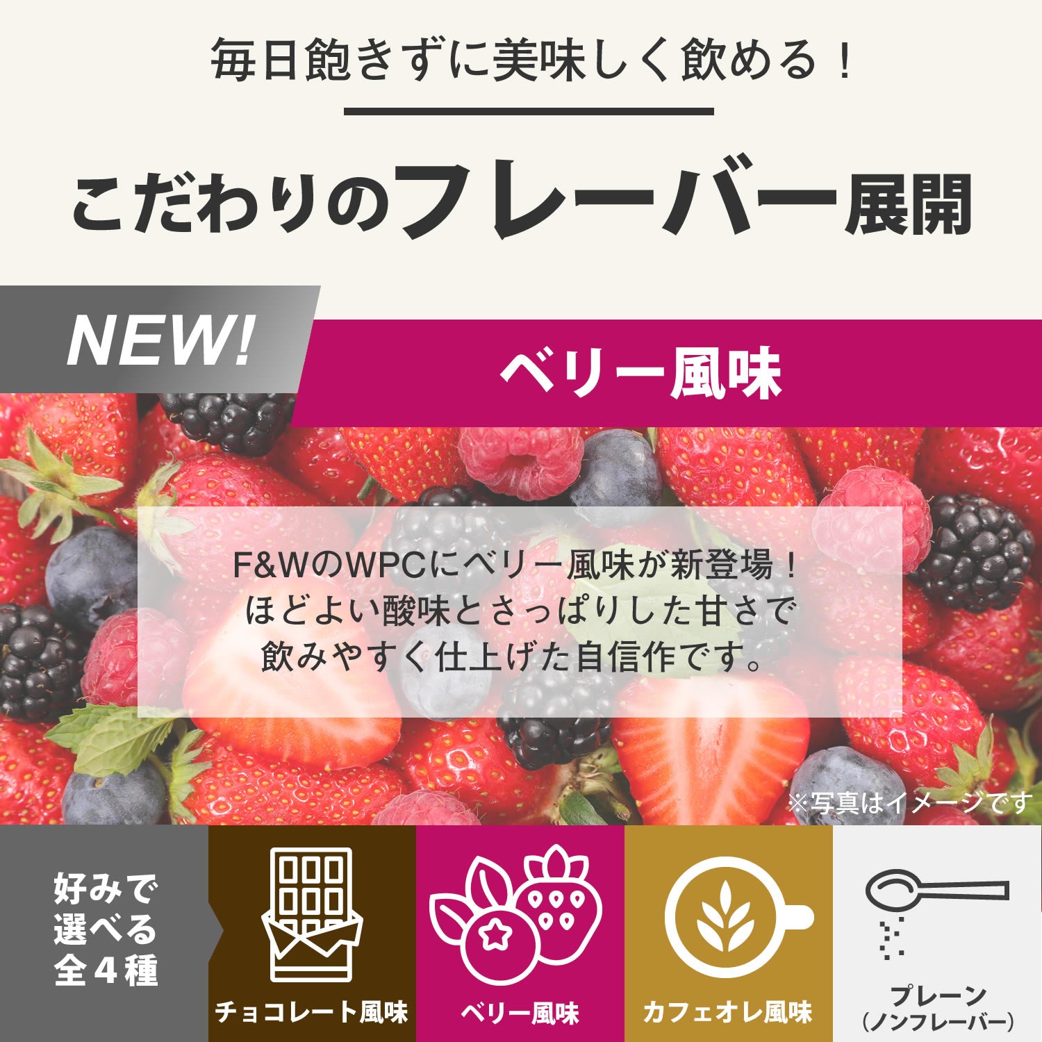 F&W WPC ベリー風味600g – F&W JAPAN OFFICIAL ONLINE STORE