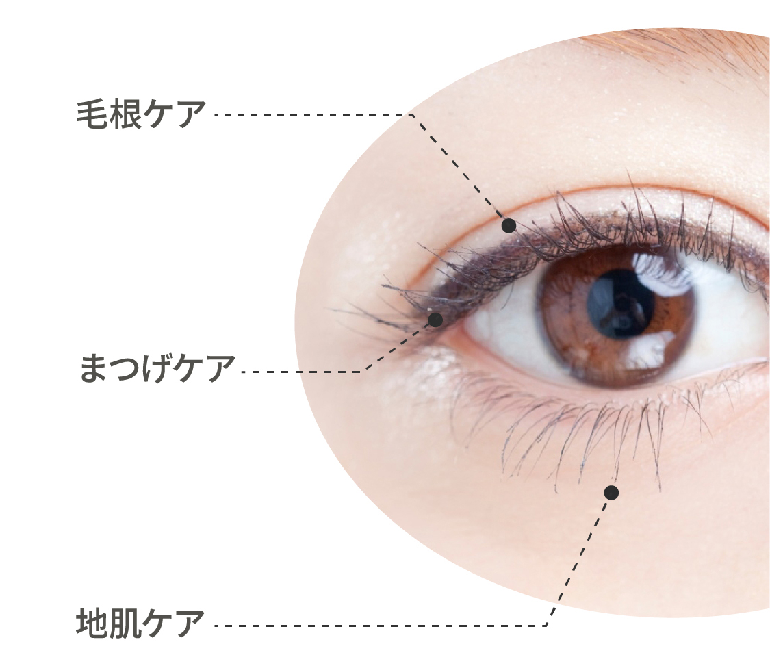 最新高機能成分配合まつ毛美容液「LASH GRACE(ラッシュグレイス)」誕生！