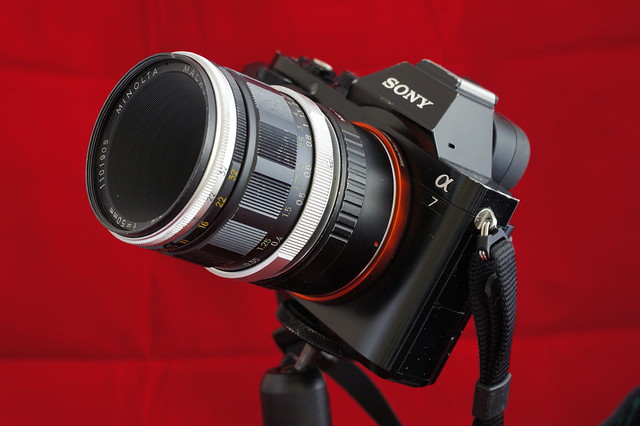 MINOLTAオールドレンズの復活Vol.3 「MINOLTA MACRO ROKKOR-QF 50mm F3