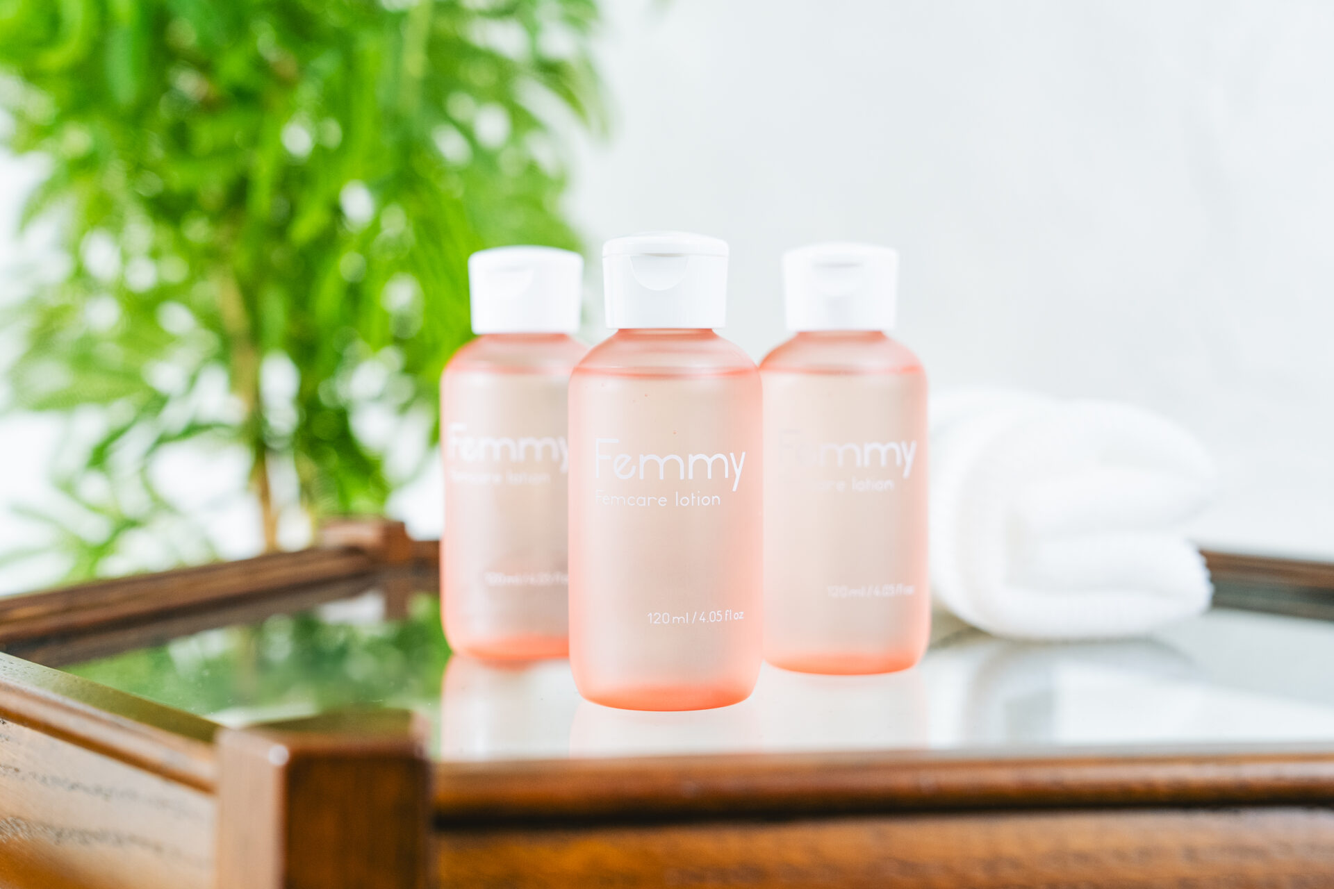 2本セット EBM 化粧水 フェミリカローション 150ml ×2点セット 【公式