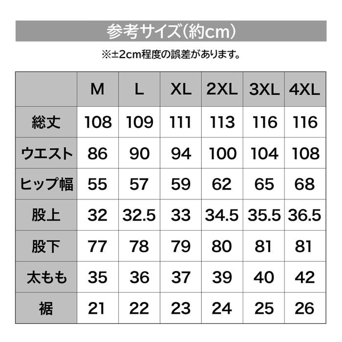 DRESS ハイグレード レインパンツ AIRBORNE | DRESS(ドレス