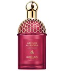Ambre Samar Guerlain perfume - a new fragrance for women and men 2025