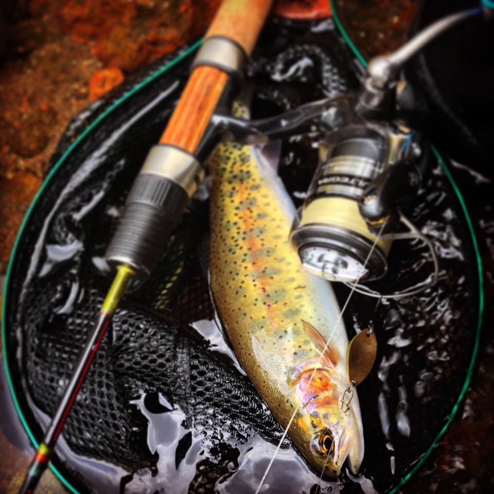 CANARIA 48UL(カナリア48・スピニング) - Fin‐ch