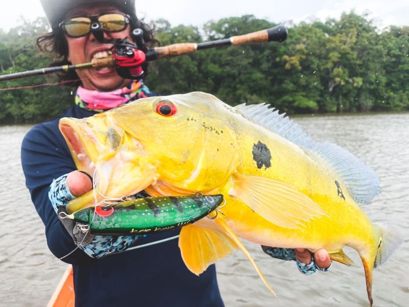 キョロキョロ140F - Fin‐ch