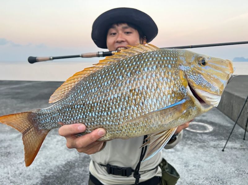 CANARIA95M(カナリア95ミディアム) - Fin‐ch