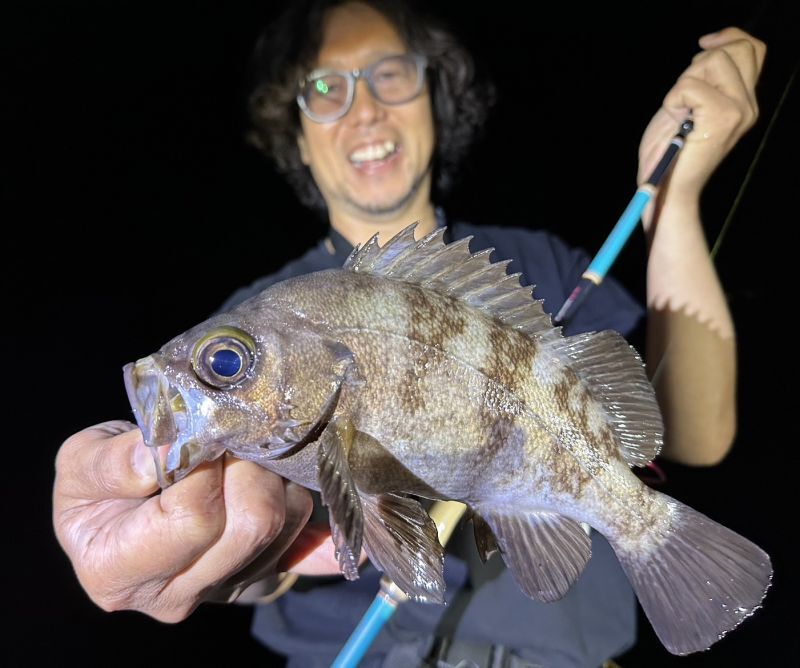 CANARIA AZORES77(カナリア アゾレス77) - Fin‐ch