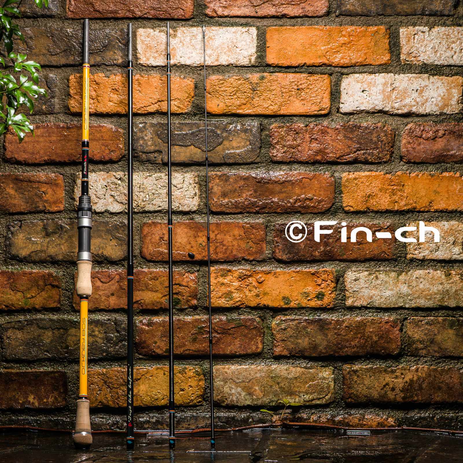 CANARIA ORKNEY80(カナリア オークニー80) - Fin‐ch