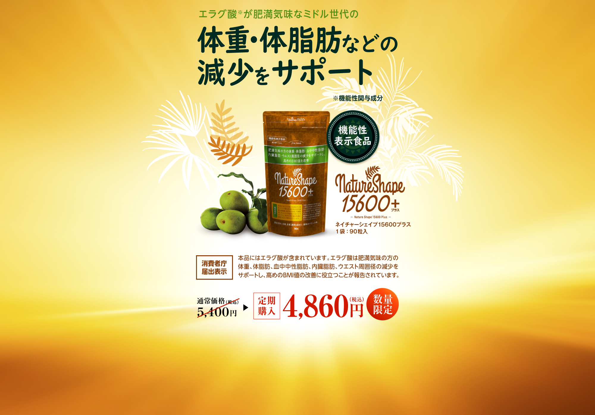 ネイチャーシェイプ15600 | ファインベース【公式】オン ライン