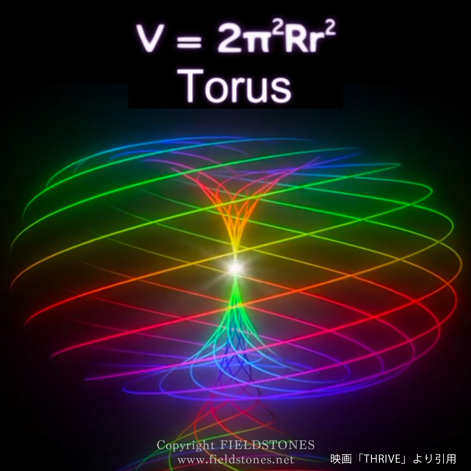 自然が全ての規模で使う基本的な型「トーラス」 - FieldStones