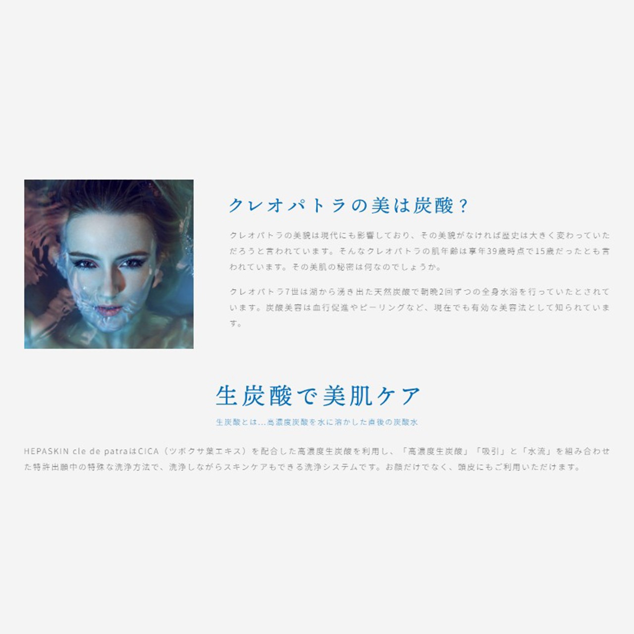 HEPASKIN Cle de Patra(クレドゥパトラ) | 美容商材ならAマーケット！