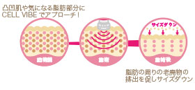 セルバイブ（本体） | 業務用美容・エステ機器の卸・仕入通販は
