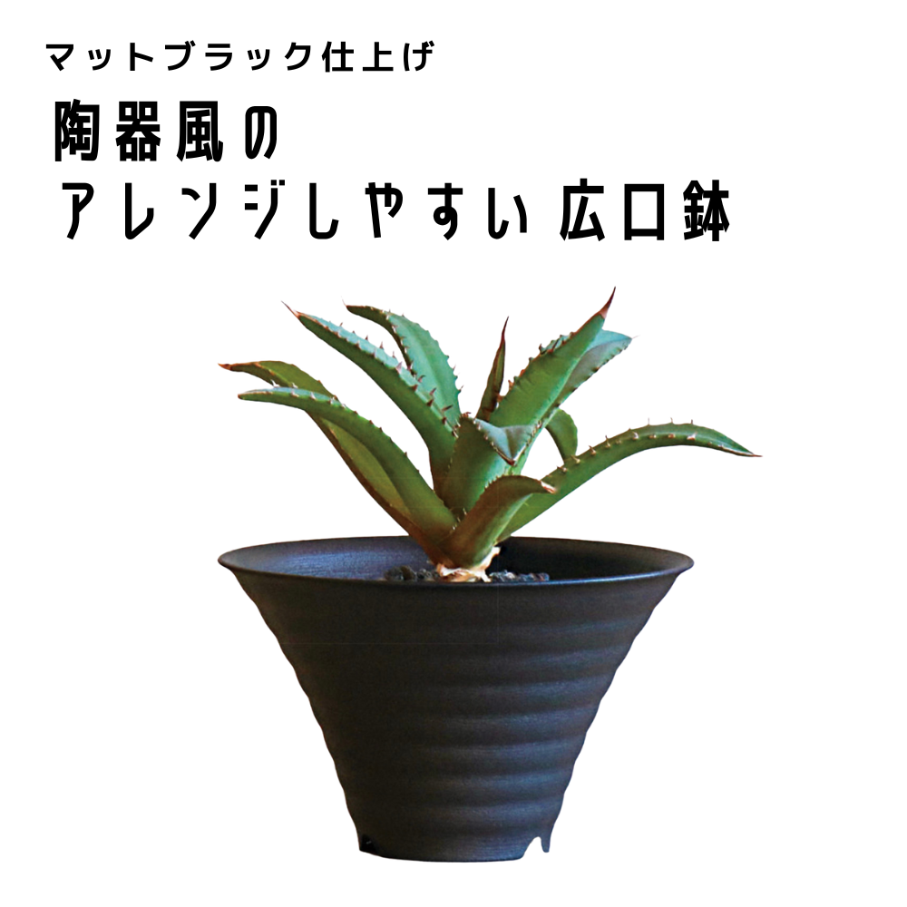 まるで陶器の高級感！アガベ・塊根植物専用鉢 Mt.pot | 根腐れ防ぐ1穴
