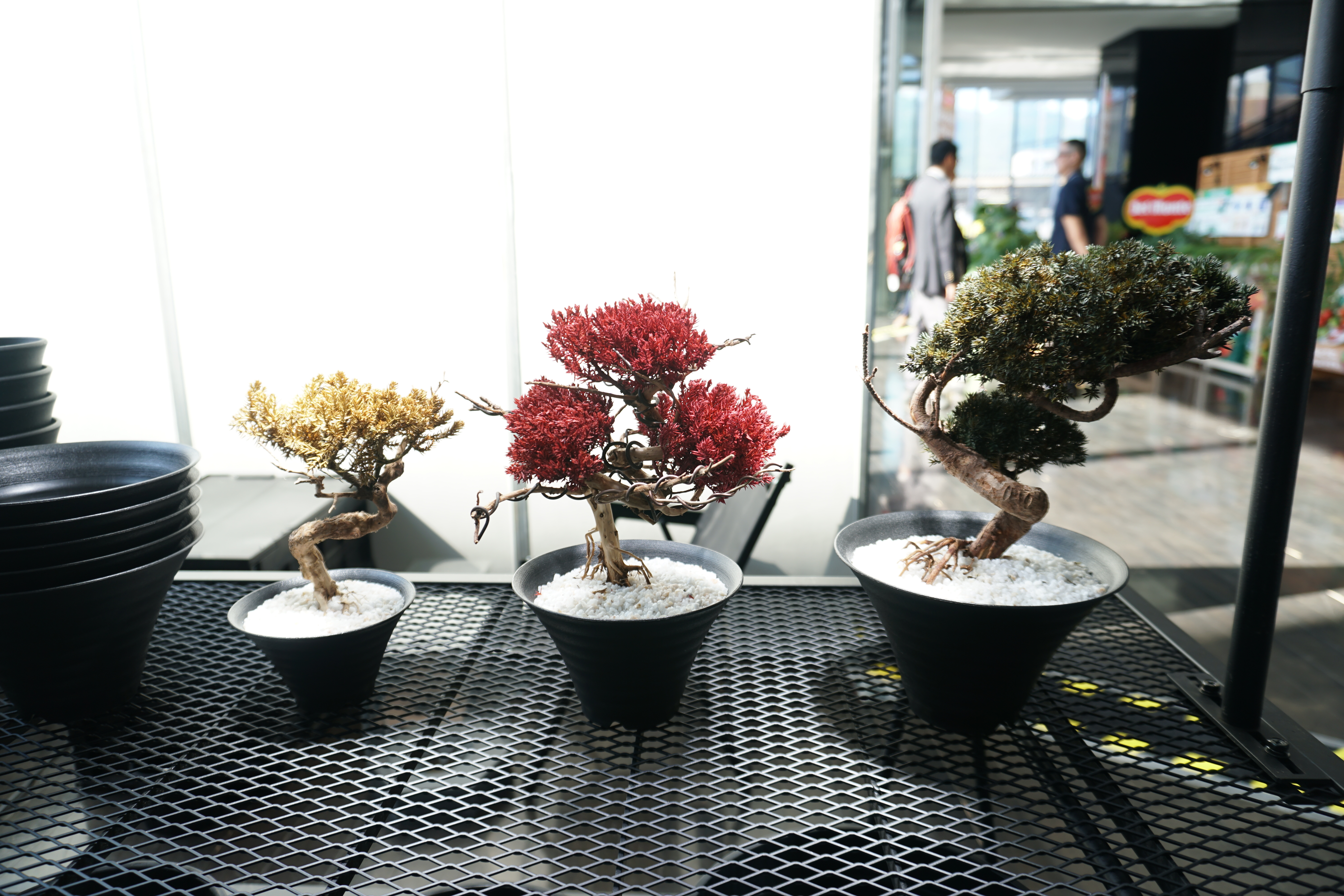 まるで陶器の高級感！アガベ・塊根植物専用鉢 Mt.pot | 根腐れ防ぐ1穴