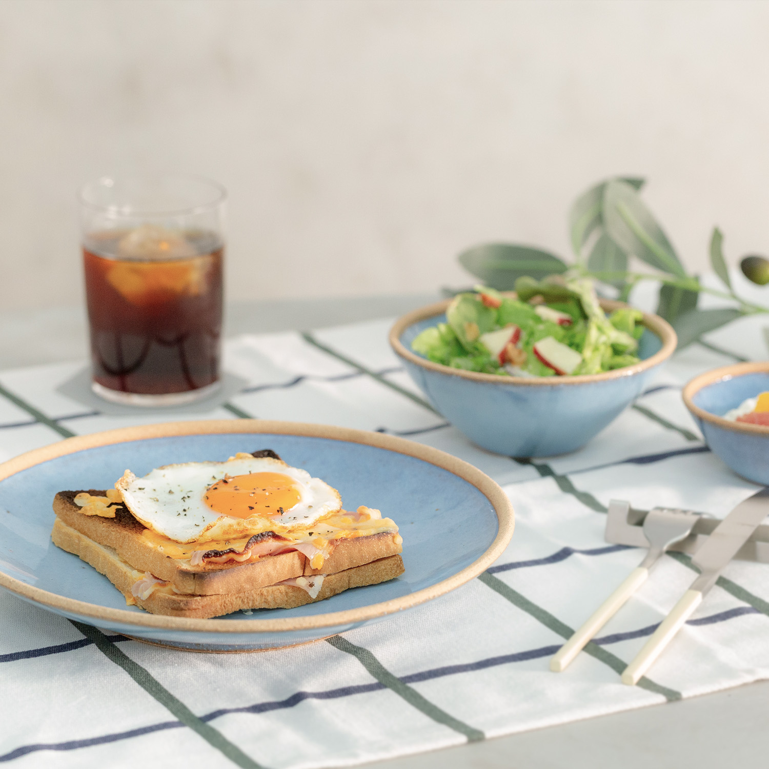 Standard Edition｜テラコッタ 玉6号皿｜西海陶器 | SAIKAI B-SHOP