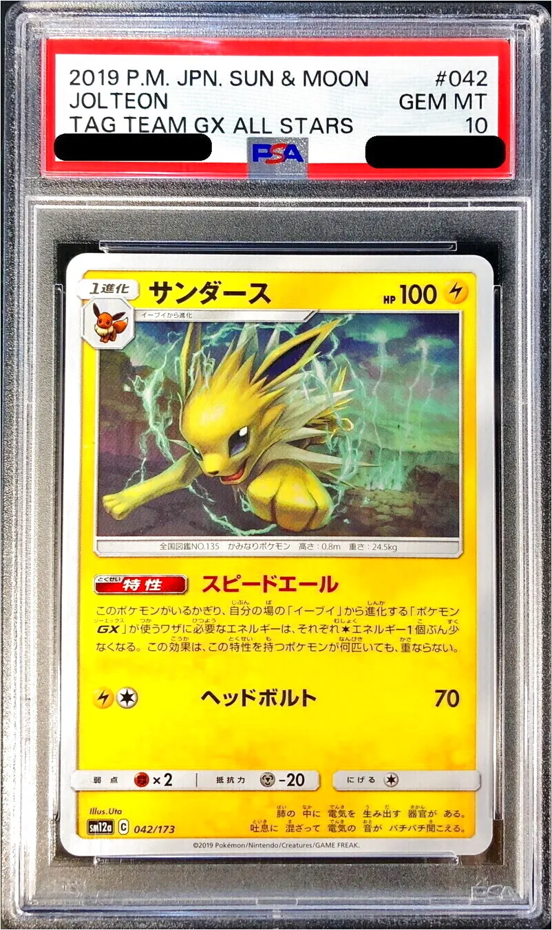 サンダース(hp:100/スピードエール/ヘッドボルト)の効果や採用されて