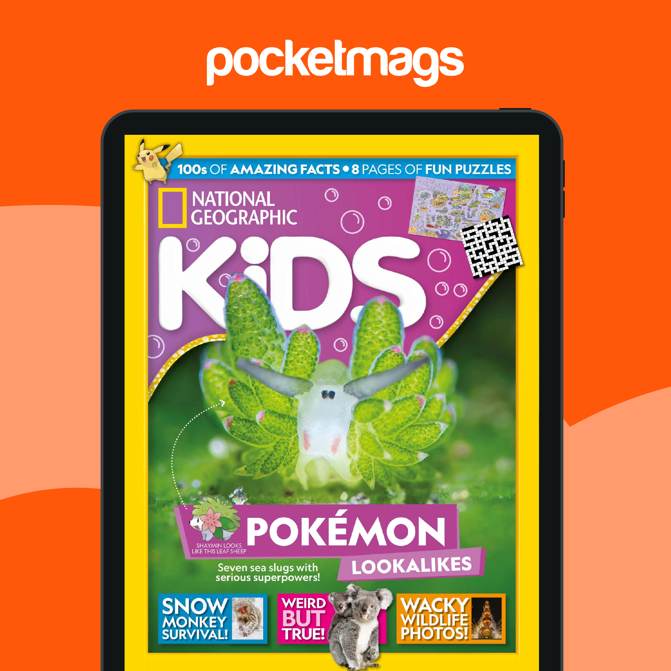 National Geographic Kids P-3 全131冊 National Geographic Kids