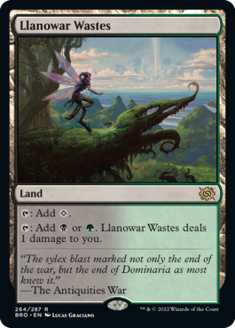 買取：《ラノワールの荒原/Llanowar Wastes》[10ED] 土地R | 日本最大