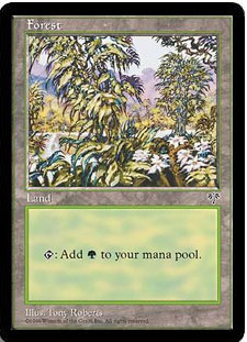 D)《森/Forest》[MIR] 土地 | 日本最大級 MTG通販サイト「晴れる屋」