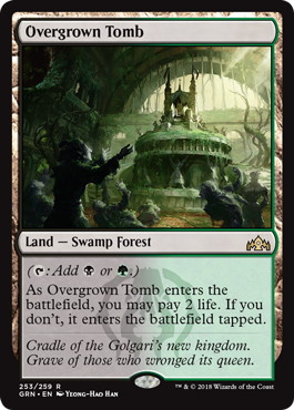 草むした墓/Overgrown Tomb》[GRN] 土地R | 日本最大級 MTG通販サイト