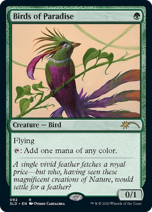 092)《極楽鳥/Birds of Paradise》[SLD] 緑R | 日本最大級 MTG通販