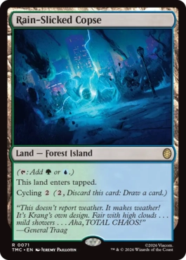 043)□拡張アート□《雨濡れの低木林/Rain-Slicked Copse》[ECC] 土地R