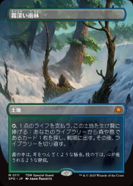 250)《霧深い雨林/Misty Rainforest》[MH2] 土地R | 日本最大級 MTG