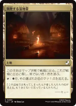 興隆する湿地帯/Thriving Moor》[JMP] 土地C | 日本最大級 MTG通販