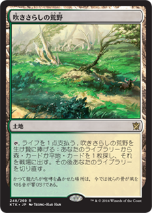 吹きさらしの荒野/Windswept Heath》[KTK] 土地R | 日本最大級 MTG通販