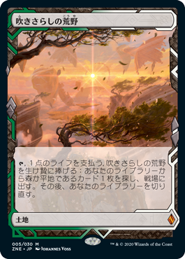 吹きさらしの荒野/Windswept Heath》[ONS] 土地R | 日本最大級 MTG通販