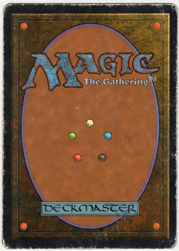 Tropical Island》[3EDBB] 土地R | 日本最大級 MTG通販サイト「晴れる屋」