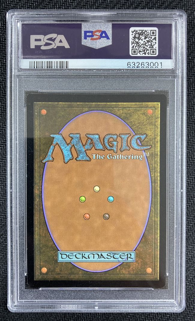 買取：【Foil】(117)□日本画□《自然の秩序/Natural Order