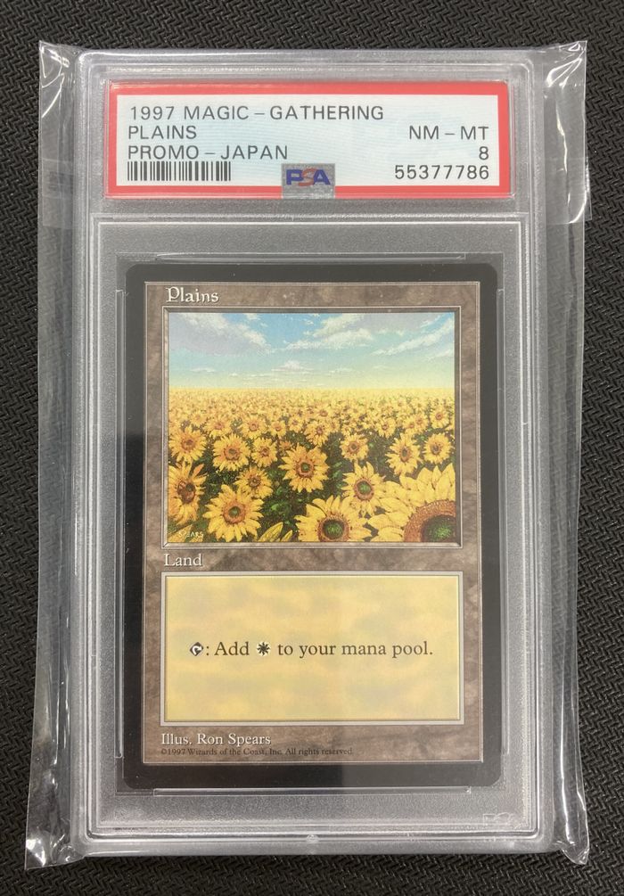 APAC1)《平地/Plains》(Illus.Ron Spears)[APACランド] 土地 | 日本