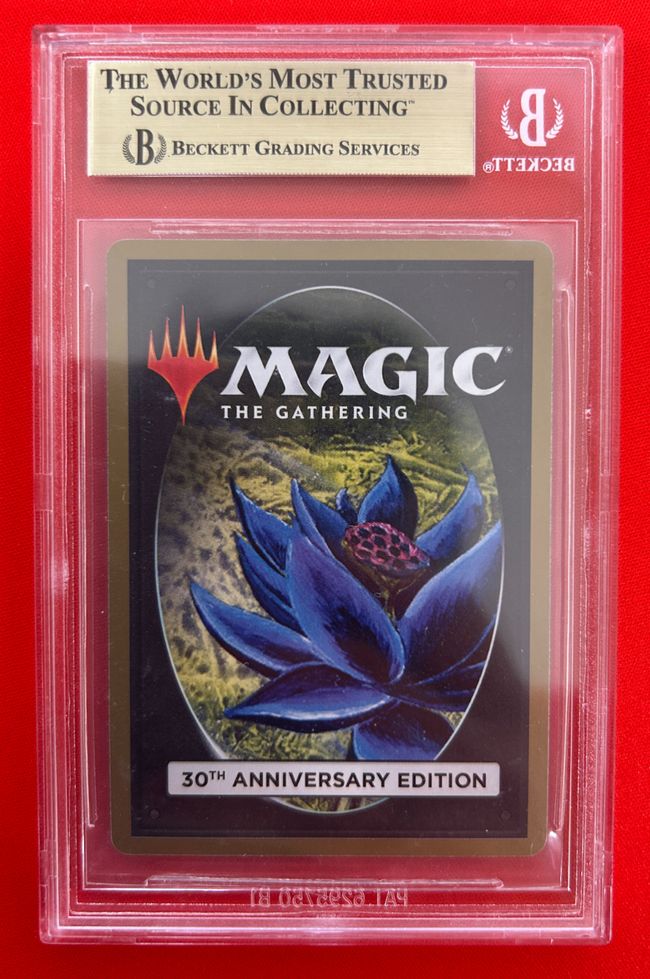 Taiga マジック：ザ・ギャザリング 土地カード 0287.jpg