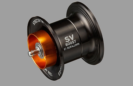 Daiwa '24 Steez SV TW 100