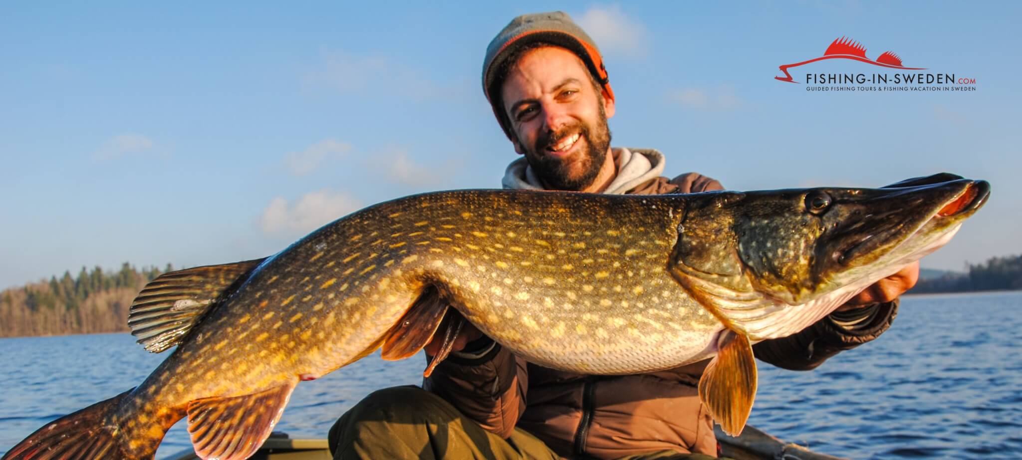 Pike Fishing in Sweden - Northern Pike - Fishing-in-Sweden.com