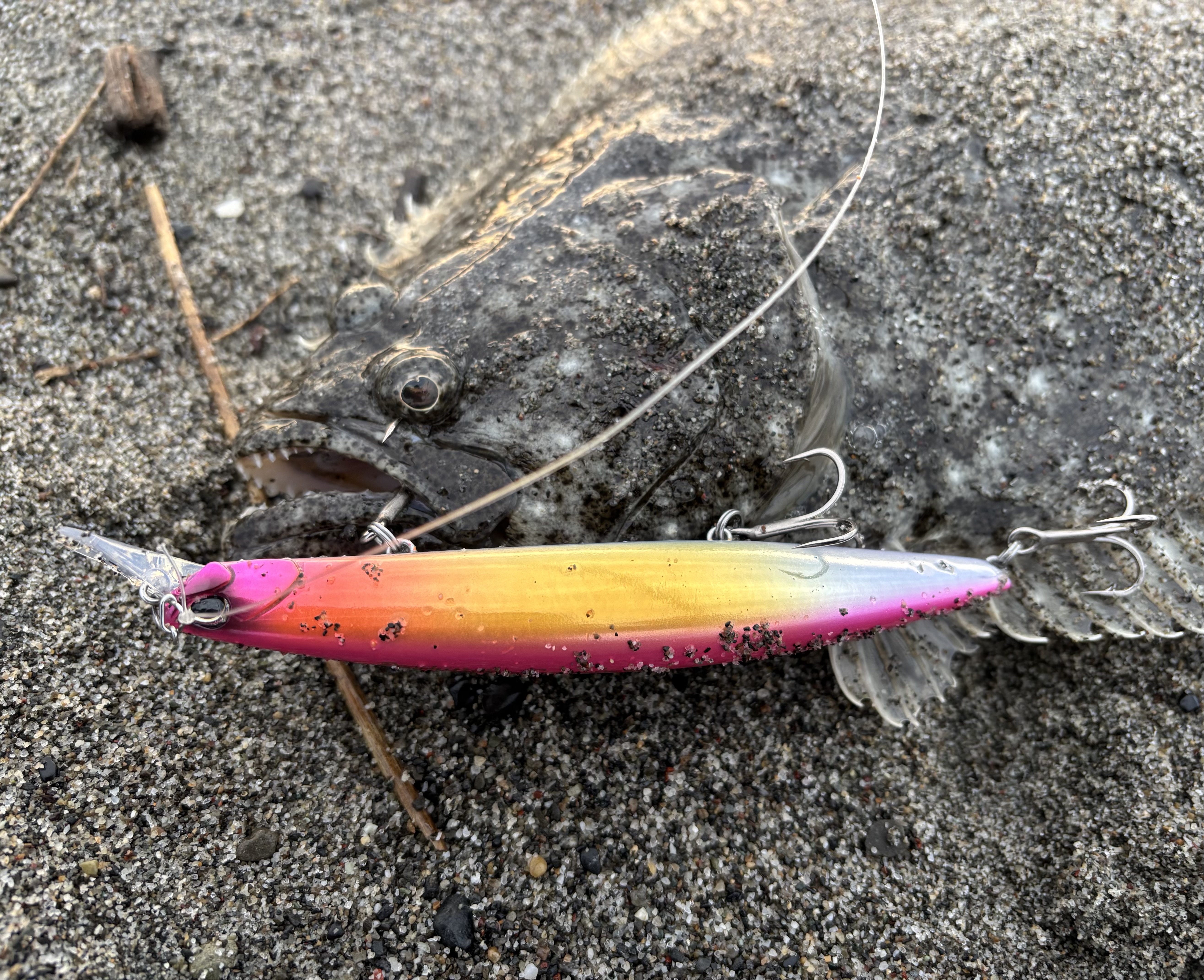 狙え！サーフヒラメ！！in遠州サーフ おすすめの釣り方も紹介