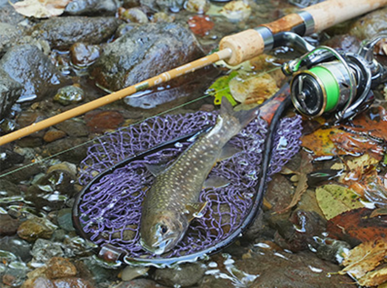 ピュアリストは2023年新発売のコスパ優秀な渓流トラウトゲーム用ロッド