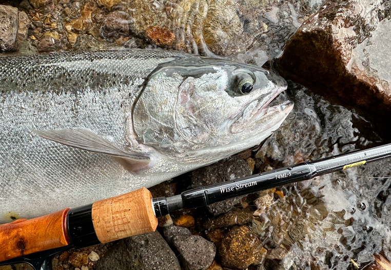 ワイズストリームに2023年追加機種登場！ダイワのマルチピース仕様