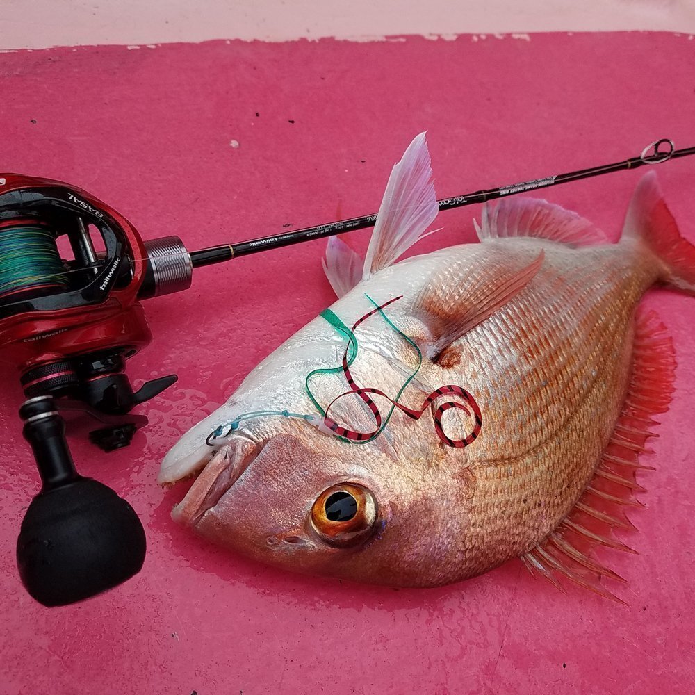 コスパ最強のベイトリール！バサルとワイドバサルの違いとは？それぞれ